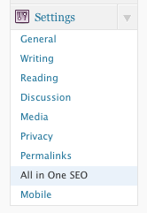 All In One SEO Settings